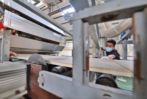 助力碳減排，我市首批8家建材企業獲評星級認證